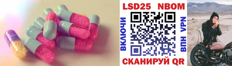 omg ССЫЛКА  darknet состав  ЛСД экстази кислота  Судогда 