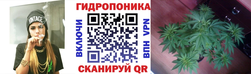МАРИХУАНА планчик  Судогда 